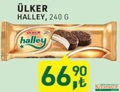 ÜLKER HALLEY ÇİKOLATA KAPLI BİSKÜVİ 240 G